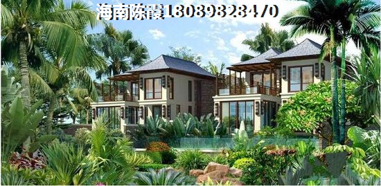 金岸名都交通图